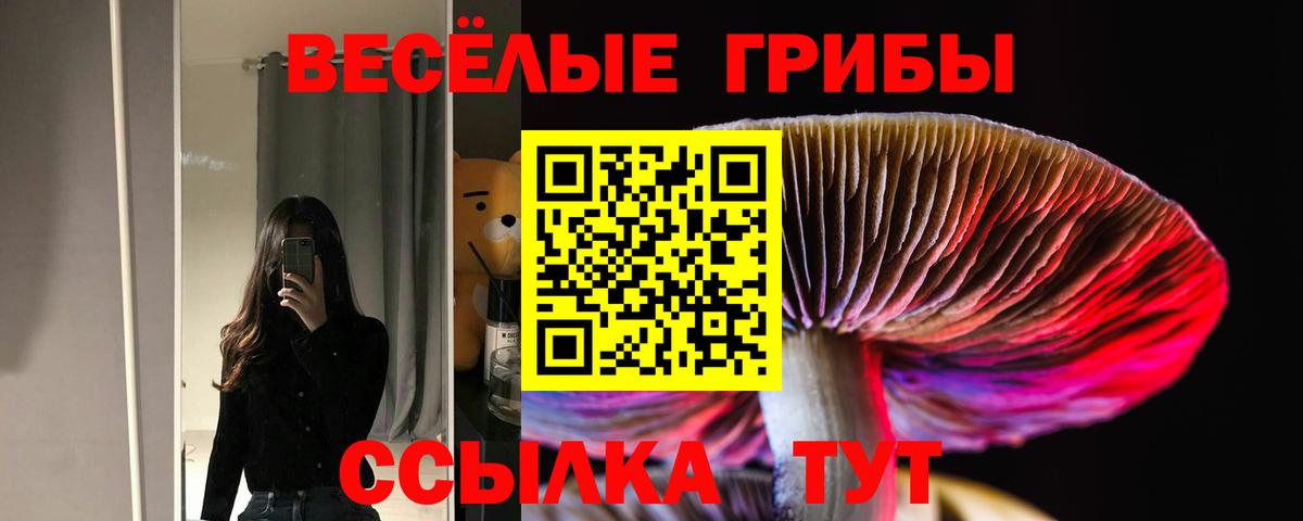 Асино  Галлюциногенные грибы прущие грибы  Вход с VPN 